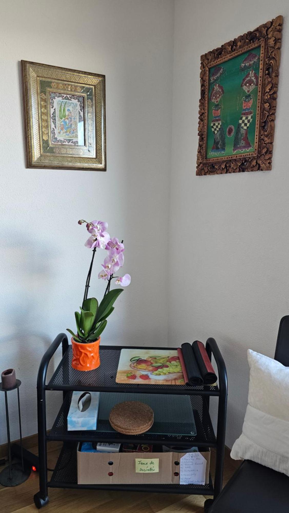 Appartement Meuble A Louer A Nax Esterno foto